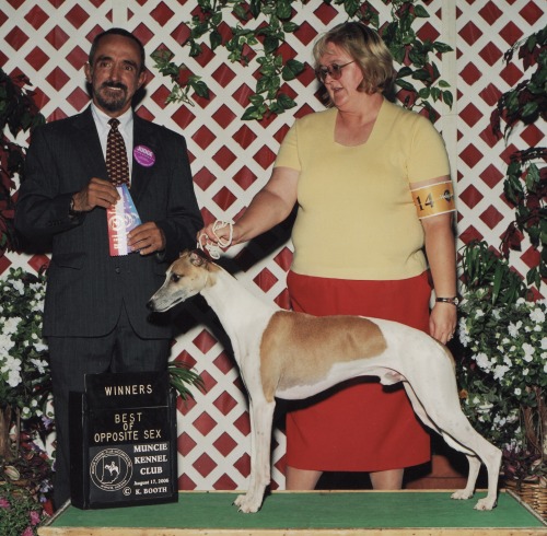 calvin best opposite sex award