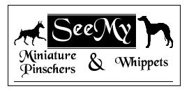 SeeMy logo